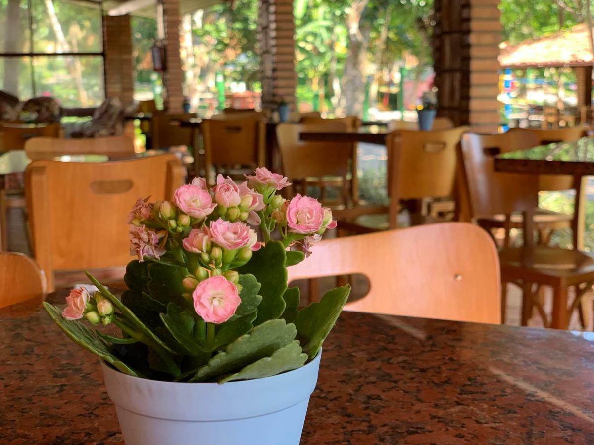 فندق هوتل ساو سيباستياو دا برايا Florianópolis المظهر الخارجي الصورة